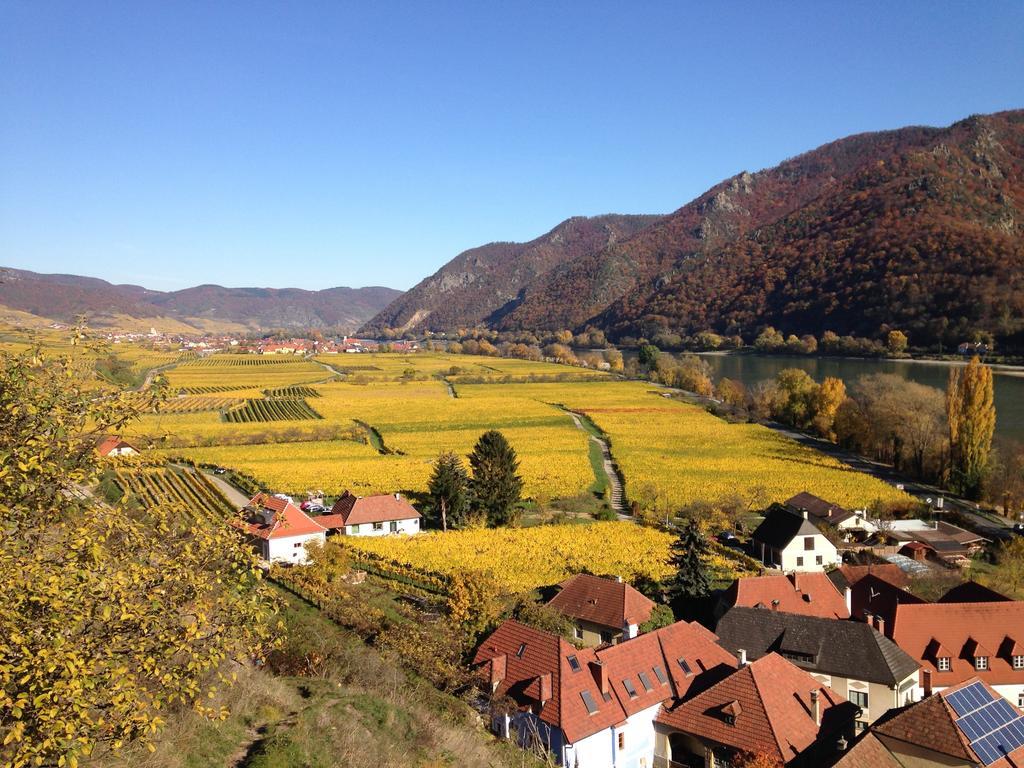 Apartement Schlaf Gut - Mitten In Der Wachau Weissenkirchen in der Wachau Δωμάτιο φωτογραφία