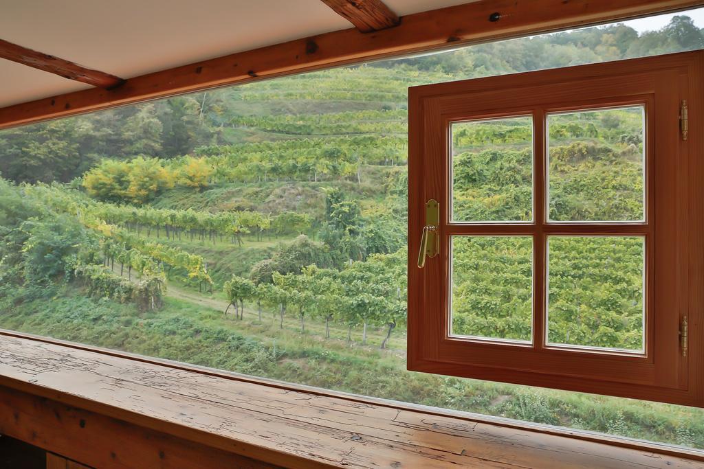Apartement Schlaf Gut - Mitten In Der Wachau Weissenkirchen in der Wachau Δωμάτιο φωτογραφία
